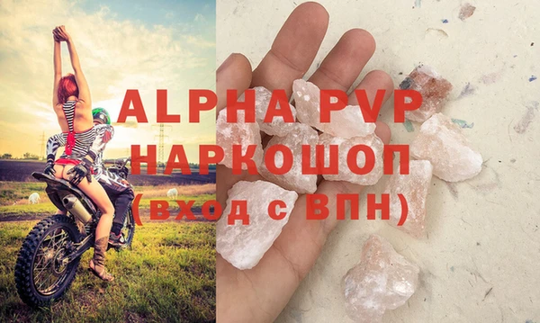 крисы Алзамай