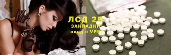 индика Алексеевка