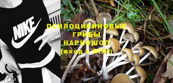 прущие грибы Алексин