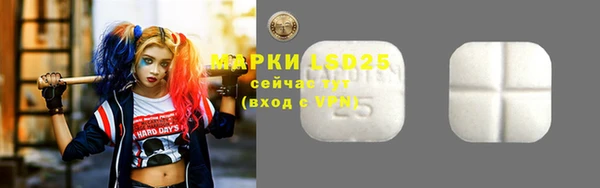 прущие грибы Алексин
