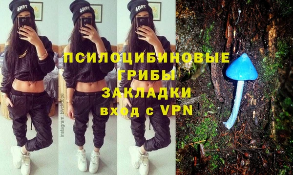 крисы Алзамай