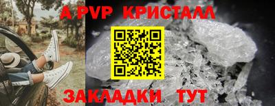 хмурый Кингисепп