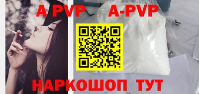 хмурый Кингисепп