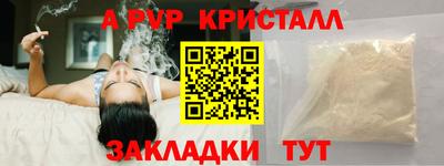 хмурый Кингисепп